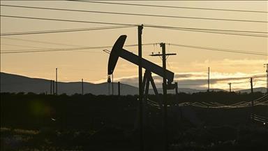 Global oil production increases by 0.22% in July: IEA