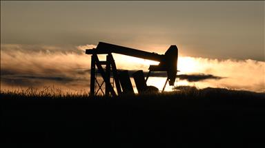 Oil prices set to fall after rising more than 2%