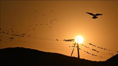 Türkiye's daily power consumption down 10.8% on Sept. 29