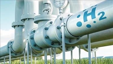 Int. Energy Agency reports surge in low-emission hydrogen projects
