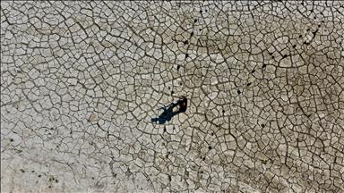 Türk ve Alman basın mensupları iklim gazeteciliği seminerinde bir araya geldi