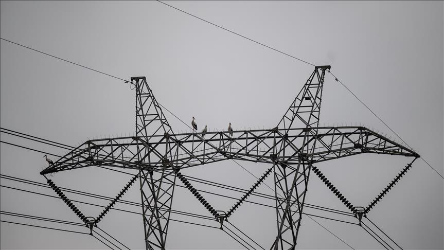 Spot market electricity prices for Monday, Oct. 14