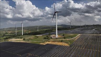 Southeast Asia to drive 25% of global energy demand growth by 2035: IEA