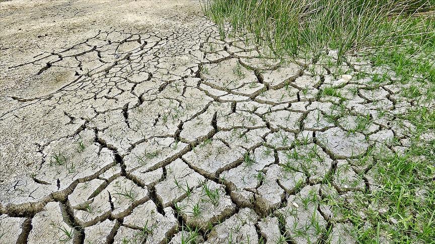 UNFCCC: İnsanlığın küresel ısınmada hayatta kalabilmesinin tek yolu işbirliği yapmak