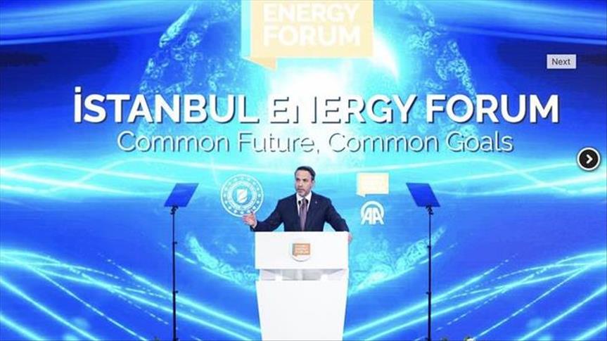 Türkiye expects record increase in share of renewables capacity in 2024: Turkish energy min.