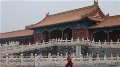 China continues to lead in energy transition with low-carbon power: Wood Mackenzie