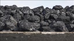 Global coal demand peaks in 2024, to plateau until 2027: IEA