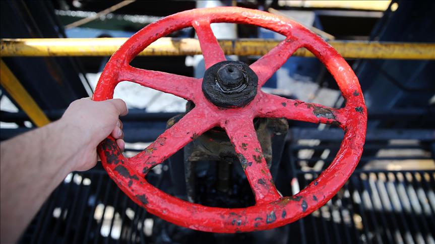 thumbs_b_c_31743a069264663c3bdf6e45e96b2193.jpg (863×485)