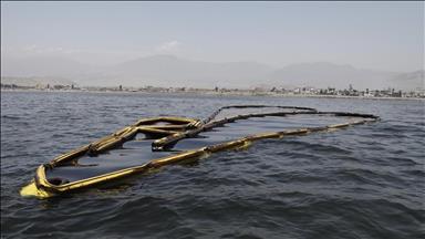 Oil spill kills dozens of dolphins on Russian Black Sea coast: Animal rescue group