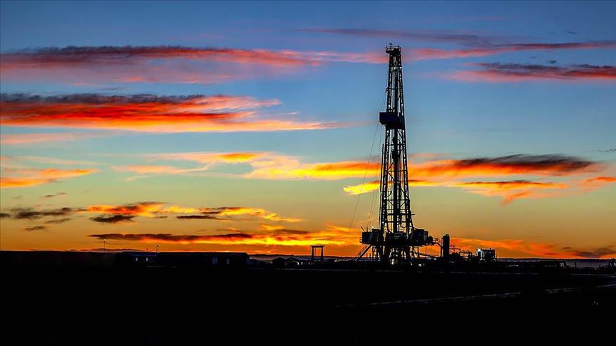 IEA: Global oil output up by 20,000 barrels per day in December 2024