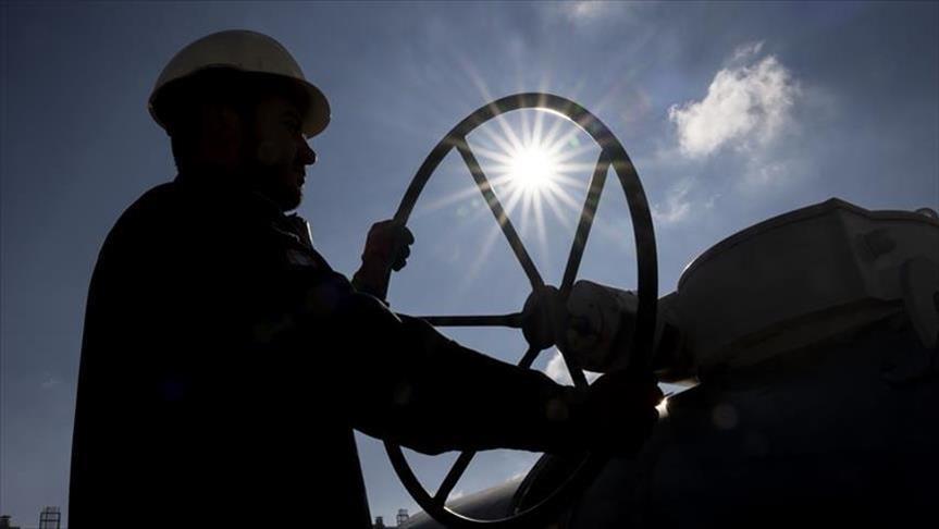 Italy's growing gas investments ignore failing demand: Research