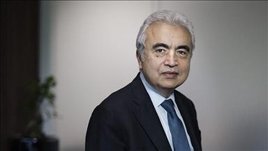International Energy Agency to launch its own AI, energy observatory