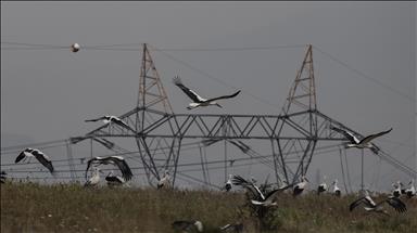 Spot piyasada elektrik fiyatları