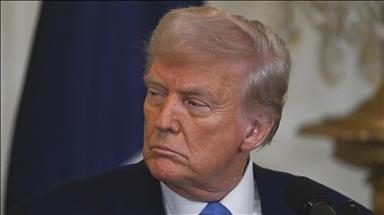 Trump's mineral demands from Ukraine: What are the rare earths that Trump wants so badly?