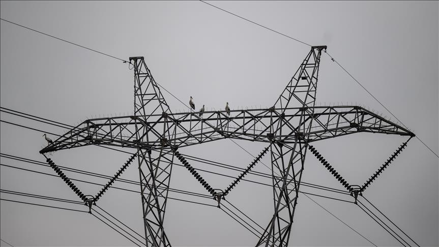 Günlük elektrik üretim ve tüketim verileri