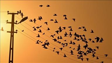 Türkiye's daily power consumption down 0.6% on March 31