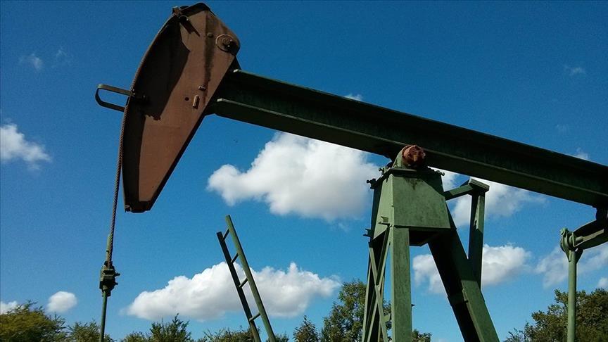US energy agency revises down Brent price forecast for 2025