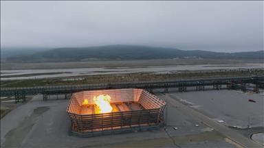 Cold winter drives gas price spikes, LNG inflows to Europe: Oxford