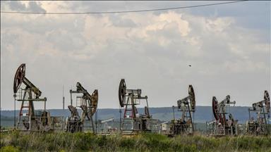 OPEC+ plays key role in stabilizing oil markets during global turmoil