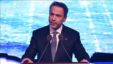 Türkiye’s wind and solar investments hit record capacity in 2024: Turkish energy minister