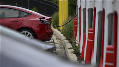 Over 25% of vehicles sold worldwide expected to be electric this year: Report