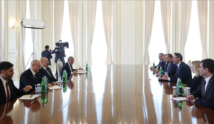 Azerbaycan Cumhurbaşkanı Aliyev, Enerji ve Tabii Kaynaklar Bakanı Bayraktar'ı kabul etti