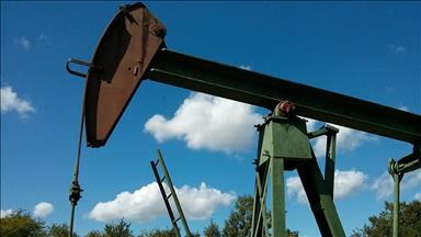 US energy agency slightly revises up Brent price forecast for 2025