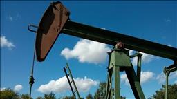 US energy agency slightly revises up Brent price forecast for 2025