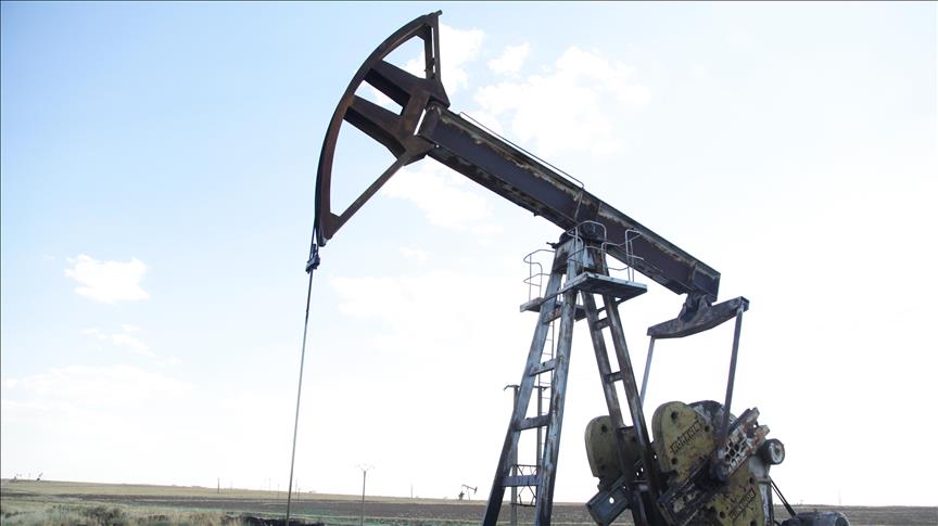 Japan resumes Russian crude oil imports after over 2-year hiatus: Report