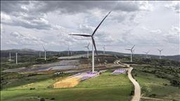 Türkiye's installed wind power capacity soars 177% in decade