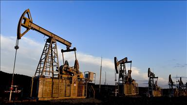 OPEC'in ham petrol üretimi mayısta günlük 183 bin varil arttı