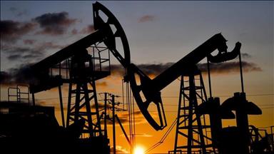 Afrika Petrol Üreten Ülkeler Örgütü Türkiye ile her türlü enerji işbirliğine açık