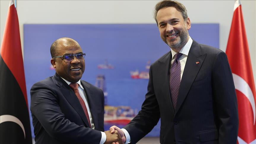 Türkiye seeks closer energy ties with Libya and Armenia