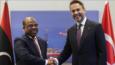 Türkiye seeks closer energy ties with Libya and Armenia