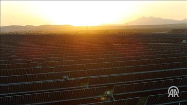 Spot market electricity prices for Saturday, June 28