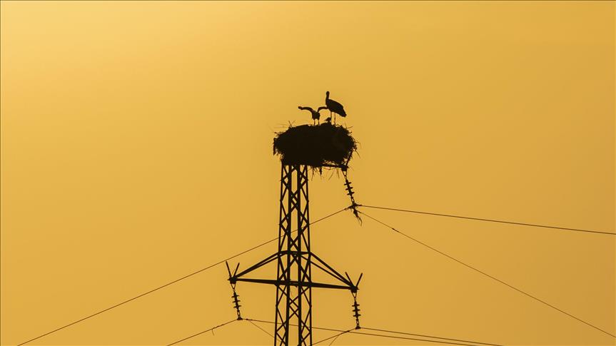 Türkiye's daily power consumption down 4% on July 12