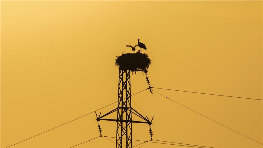 Günlük elektrik üretim ve tüketim verileri