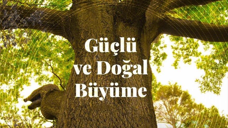 Aksa Doğalgaz, geçen yıl 1,8 milyar dolar ciro yaptı