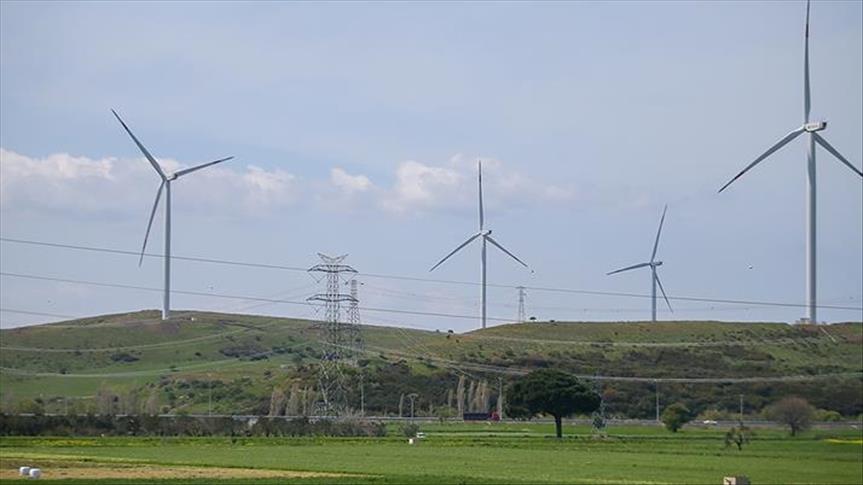 Spot market electricity prices for Wednesday, July 16