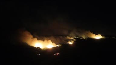 Most wildfires caused by humans but weather makes them deadly: Expert on California fire risks