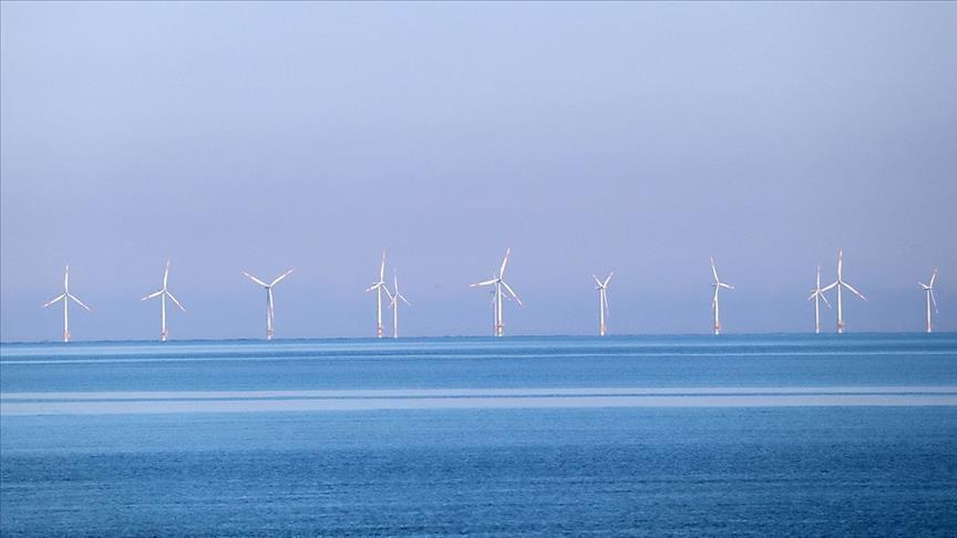 Dutch government lowers offshore wind targets amid slow energy transition
