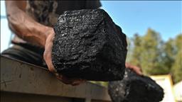 Global coal demand to remain on a plateau in 2025 and 2026: IEA