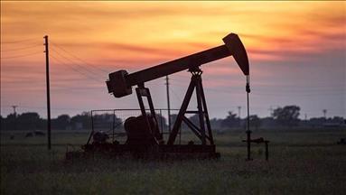 Oil declines as global risk sentiment rises, US tariffs spark market volatility