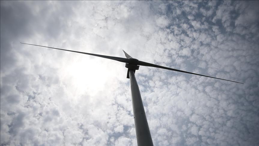 Spot market electricity prices for Sunday, Aug. 3