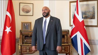 Türkiye-UK trade deal could set global example: British envoy