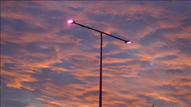 Spot market electricity prices for Monday, Aug. 11