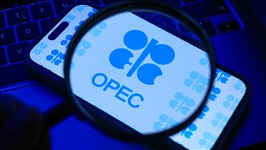 OPEC crude oil production up by 263,000 barrels per day in July 2025