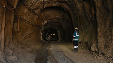 Altın madencileri orman kanunu uygulama yönetmeliğindeki değişikliği memnuniyetle karşıladı