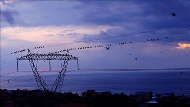 Spot market electricity prices for Monday, Sept. 1