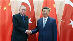 Cumhurbaşkanı Erdoğan, Çin Devlet Başkanı Şi Cinping ile görüştü